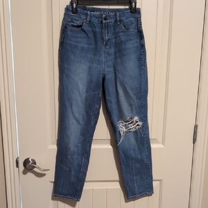 American Eagle Outfitters Blue Distressed Jeans - Short